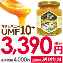 \エントリーで店内全品P3倍/マヌカハニー 10+ 250g (MGO 263〜513相当) はちみつ|非加熱 100%純粋 生マヌカ|ハニーマザー オーガニッ...