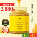 最大1000円OFFクーポンマヌカハニー UMF10+ 250g [MGO261+] 生はちみつ【初回限定＆送料無料 】 楽天ランキング1位 ハ…