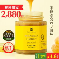 マヌカハニー UMF10+ 250g [MGO261+] 生はちみつ【初回限定＆送料無料 】 楽天ランキング1位 ハニーマザ…