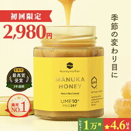 マヌカハニー UMF10+ 250g [MGO261+] 生はちみつ【初回限定＆送料無料 】 楽天ランキング1位 ハニーマザ…