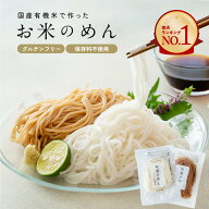 【グルテンフリー＆ヴィーガン】お米のめん 米麺 [ 白米麺／玄米麺 100g ]100% 国産有機米使用 無農薬栽…
