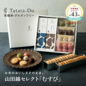 マラソン 最大1000円OFFクーポン【グルテンフリー＆ヴィーガン】山田錦 ギフト むすび [ 白米・玄米ガレット、ボール／ 全48個入 ] 田田田堂 山田錦セレクト おもたせ 手土産 米粉 お菓子 クッキー スイーツ 小麦 乳 卵 白砂糖 不使用 アレルギー