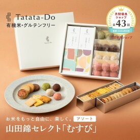 マラソン 最大1000円OFFクーポン【グルテンフリー＆ヴィーガン】山田錦 ギフト むすび [ ガレット缶 アソート、サブレ缶 アソート、ボール / 全64個入 ] 田田田堂 山田錦セレクト おもたせ 手土産 米粉 お菓子 クッキー スイーツ