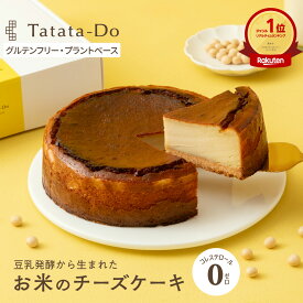 マラソン 最大1000円OFFクーポン【グルテンフリー＆ヴィーガン】お米のチーズケーキ【5号／15cm】豆乳発酵 全国 送料無料 手土産 お取り寄せ おもてなし 田田田堂　ギフト ヴィーガンチーズケーキ グルテンフリー 保存 ケーキ 乳 卵 小麦 白砂糖 不使用