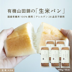 y\񏤕i 11{zzL@Rcт̐ăp [ 15cmi200gj ] yOet[B[Kz  g[XgHp _ ĕp ăp YY  Ⓚ 