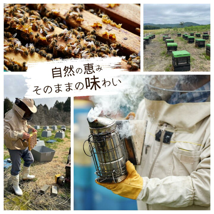 楽天市場】はちみつ 国産 花蜜 春の野山 夏山 食べ比べセット 500g 2本 
