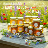 【ランキング1位獲得】 国産はちみつ お試し セット 80g 選べる 3本 はちみつ アカシア 藤 柿 そば 山桜 …