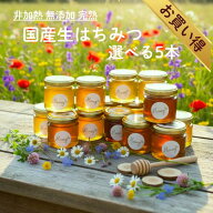 【ランキング1位獲得】 国産はちみつ お試し セット 80g 選べる5本 はちみつ ハチミツ 蜂蜜 瓶 お中元 御…