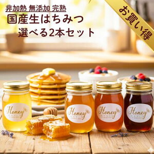 yLO1ʊlzyz n Y ݂͂500g×2{ ݂͂ Hה Zbg ݂͂Zbg VR M  n`~c I  rl Mtg    