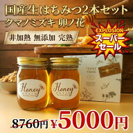 【楽天1位】 新蜜 国産はちみつ食べ比べ 500g2本セット 1000g卯の花 クマノミズキ 完熟 はちみつ 国産 生…