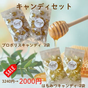 y}\Ԍ3240~2000~z݂͂LfB 80g×2 v|XLfB80g×2  ̂ǈ Mtg VN Y ݂͂   ݂͂ َq ݂͂̂ǈ I n`~