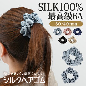 【送料無料】ヘアゴム シルク シュシュ シルクシュシュ シルクヘアゴム 髪の毛絡まない M Lサイズ 19匁 大人 ヘアゴム シルク100％ ヘアアクセサリー ヘアメンテ 高級 おしゃれ 切れ毛対策 毛崩れにくい ゴム跡がつきにくい シンプル 髪にやさしい ヘアケア 美髪