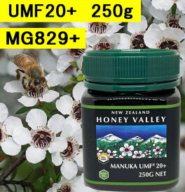 【送料無料】マヌカハニーUMF20+ (250g)【無添加天然蜂蜜（はちみつ)】【UMF値検査証明書写付】
