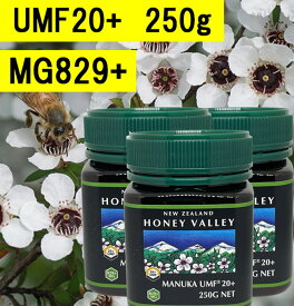 【送料無料】マヌカハニーUMF20+ (250g 3瓶セット)【無添加天然蜂蜜（はちみつ)】【UMF値検査証明書写付】