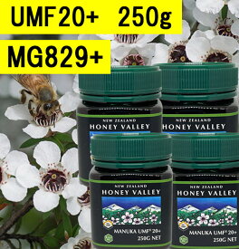 【送料無料】マヌカハニーUMF20+ (250g 4瓶セット)【無添加天然蜂蜜（はちみつ)】【UMF値検査証明書写付】