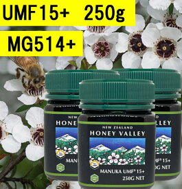 【送料無料】マヌカハニーUMF15+ (250g 3瓶セット)【無添加天然蜂蜜（はちみつ)】【UMF値検査証明書写付】