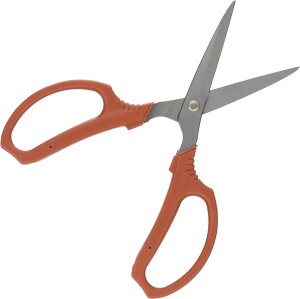 �󍁍H�� �K�[�f���� ���� 190606 �{��:���s20cm �{��:����2cm �{��:��8cm