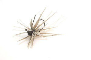 ���C�h�W���p��(Raid Japan) EGU-DAMA Type-KIWAMI (�G�O�_�} �^�C�v��) 2.7g 009.�R�X���V���b�h (COSME SHAD)