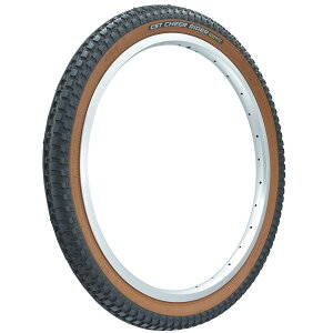�`�F���V���^�C��(CST) ���]�� �^�C�� 20×2.125 [CHEER RIDER] C727R �u���b�N/�u���E�� C727R