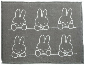 �I�J�g�[(Okato) �|���G�X�e�� ���؂� ���؂�}�b�g �H�퐅�؂� 30×40cm �ق��Â��~�b�t�B�[