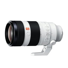 FE 100-400mm F4.5-5.6 GM OSS SEL100400GM
