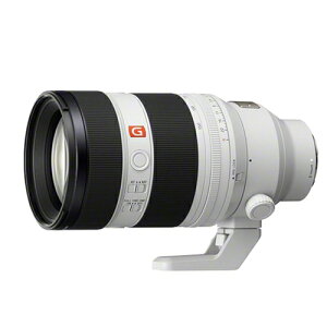 SONY �J���������Y FE 50-150F2 GM