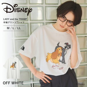 yԌI20OFFIz yDisney/fBYj[z񕨌ꃌfBgvvgTVc/LADY and the TRAMP gbvX fB[X TVc   fBYj[ disney Vv vg