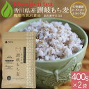 ポイント10倍！機能性表示食品 讃岐（香川県産）もち麦 400g x 2袋（ 800g ）＜ 食後血糖値の上昇をおだやかにする もち麦 食物繊維β-グルカン ダイシモチ 栄養成分分析付！遺伝子組み換えなし 送料無料 大麦 もちむぎ 雑穀 もち麦ごはん ほんぢ園 P10＞ ／セ／ ● NEW