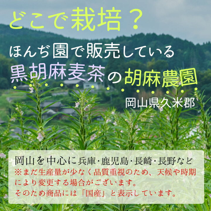 楽天市場】胡麻麦茶 麦茶 国産 黒胡麻麦茶 10g x 20p x 5袋 ( 1000g ティーバッグ ) ほんぢ園 < 胡麻麦茶 血圧測定 ペットボトルよりお得! ごま麦茶 ゴマ麦茶 胡麻 麦茶 ノンカフェイン > 送料無料 同梱不可 /ラ/ : 健康茶専門店 ほんぢ園 楽天市場】胡麻麦茶 麦茶 国産 黒胡麻麦茶 10g x 20p x 5袋 ( 1000g ティーバッグ ) ほんぢ園 < 胡麻麦茶 血圧測定 ペットボトルよりお得! ごま麦茶 ゴマ麦茶 胡麻 麦茶 ノンカフェイン > 送料無料 同梱不可 /ラ/ : 健康茶専門店 ほんぢ園