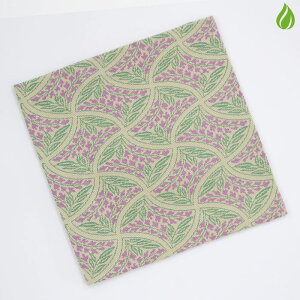   Û qԖ iԂǂȂƂj쐭X   VN a ÂԂ  ގ  izj