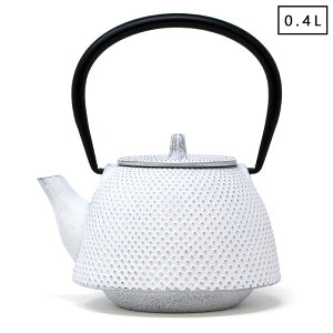 南部鉄器 急須 日本製 鉄急須 南部形アラレ 白銀 0.4L コーヒー 茶こし付 ティーポット ホーロー プレゼント ギフト 【別倉庫発送】 送料無料