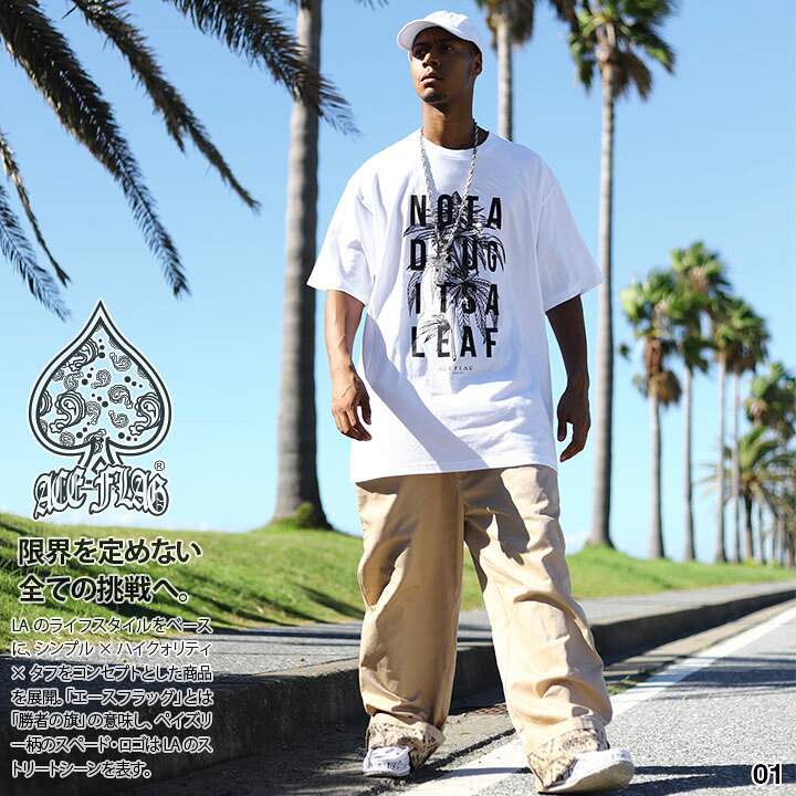 楽天市場】ACE FLAG 上下セット 半袖 Tシャツ チノパン ロングパンツ  