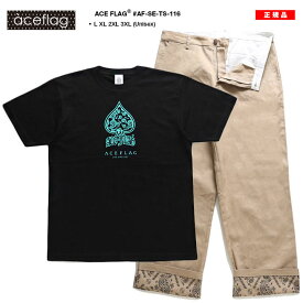 ACE FLAG 上下セット 半袖 Tシャツ チノパン ロングパンツ セットアップ メンズ 黒 大きいサイズ エースフラッグ スペード ミントグリーン ペイズリー 柄 ビッグシルエット b系 ストリート系 ハイ 新作 AF-SE-TS-116