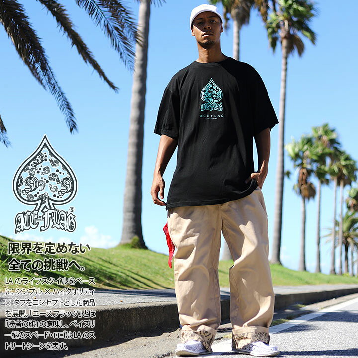 楽天市場】ACE FLAG 上下セット 半袖 Tシャツ チノパン ロングパンツ  