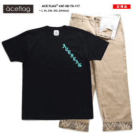 ACE FLAG 上下セット 半袖 Tシャツ チノパン ロングパンツ セットアップ メンズ 春夏用 黒 大きいサイズ エースフラッグ ミントグリーン ミント ペイズリー 柄 ビッグシルエット b系 ヒップホップ AF-SE-TS-117