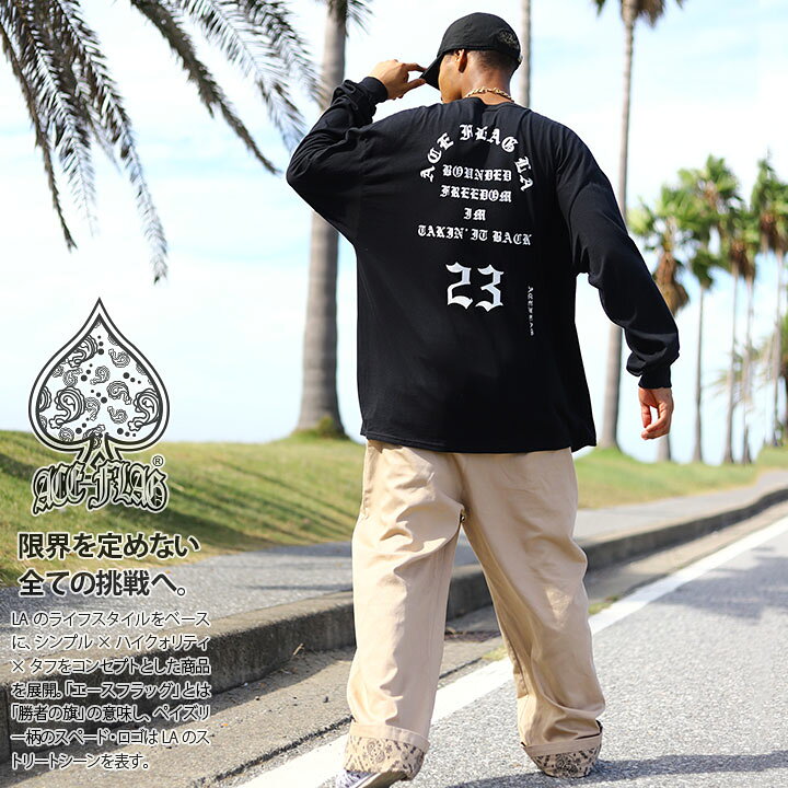 楽天市場】ACE FLAG 上下セット 長袖 Tシャツ ロンT チノパン ロング 