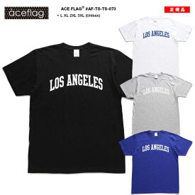 ACE FLAG Tシャツ 半袖 メンズ 春夏用 全4色 大きいサイズ エースフラッグ おしゃれ ロゴ LA かっこいい Los Angeles ロサンゼルス アーチロゴ オビッグシルエット b系 ヒップホップ ファッション ダンス ストリート系 ハイ ブランド 服 2024春夏 新作 AF-TS-TS-073