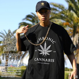 ACE FLAG Tシャツ 半袖 メンズ 春夏用 黒/グレー 大きいサイズ エースフラッグ おしゃれ BUDS バッズ 大麻 マリファナ ヘンプ ロゴ オーバーサイズ ビッグシルエット b系 ヒップホップ ファッション ダンス ストリート系 ハイ ブランド 服 2024春夏 新作 AF-TS-TS-076