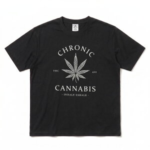 �y54%OFF�zACE FLAG T�V���c ���� �����Y �t�ėp ��/�O���[ �傫���T�C�Y �G�[�X�t���b�O ������� BUDS �o�b�Y �喃 �}���t�@�i �w���v ���S �I�[�o�[�T�C�Y �r�b�O�V���G�b�g b�n �q�b�v�z�b�v �t