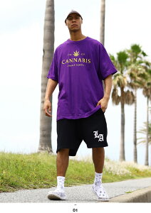 ACE FLAG ㉺Zbg  uh TVc n[tpc Y tėp S2F 傫TCY G[XtbO ZbgAbv 喃 }t@i wvrbOVGbg bn qbvzbv t@bV