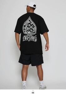 ACE FLAG ㉺Zbg  uh TVc n[tpc Y tėp S2F 傫TCY G[XtbO ZbgAbv Xy[h yCY[ Compton Rvg I[o[TCY rbOV