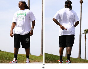 ACE FLAG ㉺Zbg  uh TVc n[tpc Y tėp   傫TCY G[XtbO ZbgAbv pC   n wv HEMP rbOVGbg bn