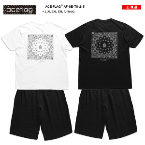 ACE FLAG ㉺Zbg  uh TVc n[tpc Y tėp   傫TCY G[XtbO ZbgAbv XEFbg V[gpc Xy[h yCY[ o_i bn 