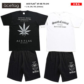 【45%OFF】ACE FLAG 上下セット 半袖 ブランド Tシャツ ハーフパンツ メンズ 春夏用 黒 白 大きいサイズ エースフラッグ セットアップ ショートパンツ ヘンプ HEMP ビッグシルエット b系 ヒップホップ ファッション ダンス ストリート系 ハイ 2025 AF-SE-TS-219