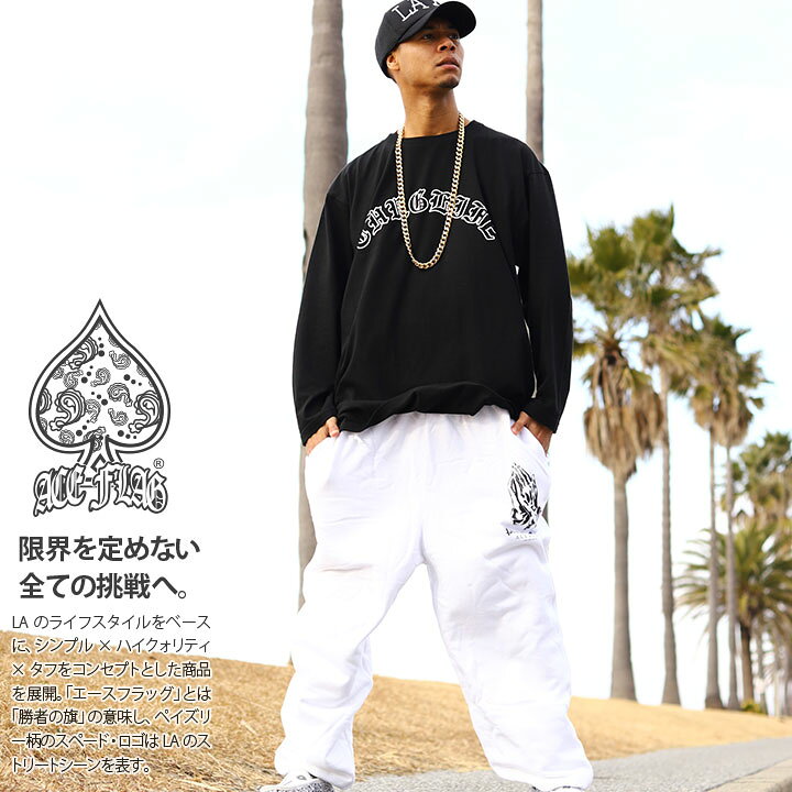 楽天市場】ACE FLAG 上下セット 長袖 ブランド メンズ 春秋冬用 全2色 
