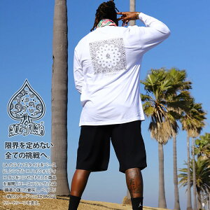 ACE FLAG ㉺Zbg  TVc T uh XEFbg n[tpc Y tH~p   傫TCY G[XtbO ZbgAbv yCY[ ML TOCt rbOVGbg