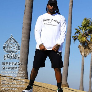 ACE FLAG ㉺Zbg  TVc T uh XEFbg n[tpc Y   傫TCY G[XtbO ZbgAbv South Central TEXZg rbOVGbg qbvzb