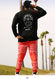 ACE FLAG ㉺Zbg  uh TVc T Opc Y tH~p  傫TCY G[XtbO ZbgAbv W[W Y{  2Pac n rbOVGbg bn q