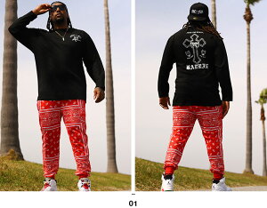 ACE FLAG ㉺Zbg  uh TVc T Opc Y tH~p   傫TCY G[XtbO ZbgAbv W[W  2Pac \ NX rbOVGbg bn 