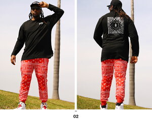 ACE FLAG ㉺Zbg  uh TVc T Opc Y tH~p   傫TCY G[XtbO ZbgAbv W[W gbNpc  Xy[h rbOVGb